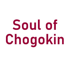 Soul of Chogokin