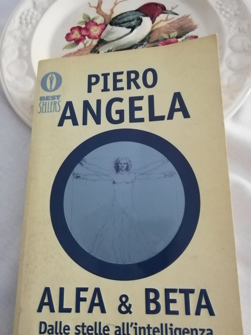 Alfa e beta. Dalle stelle all'intelligenza di Piero Angela