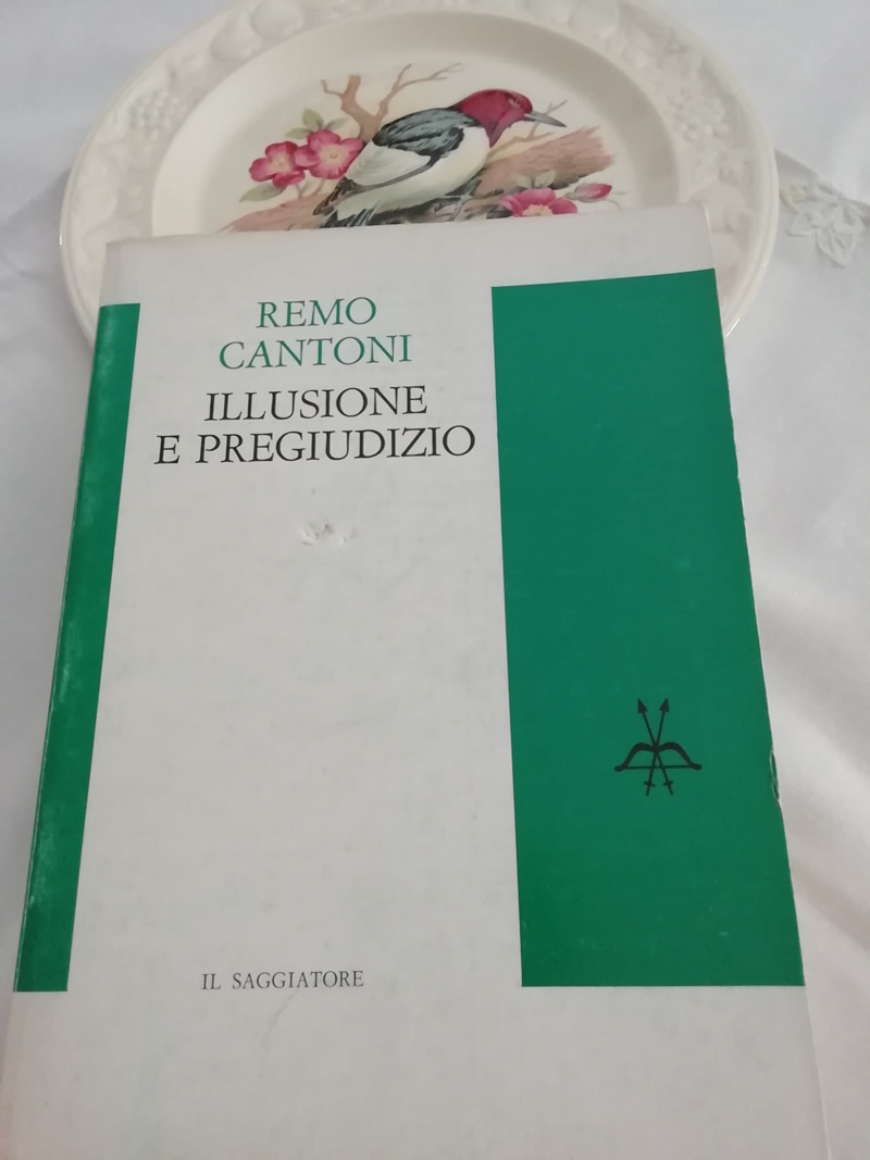 Cantoni, Remo: Illusione e pregiudizio