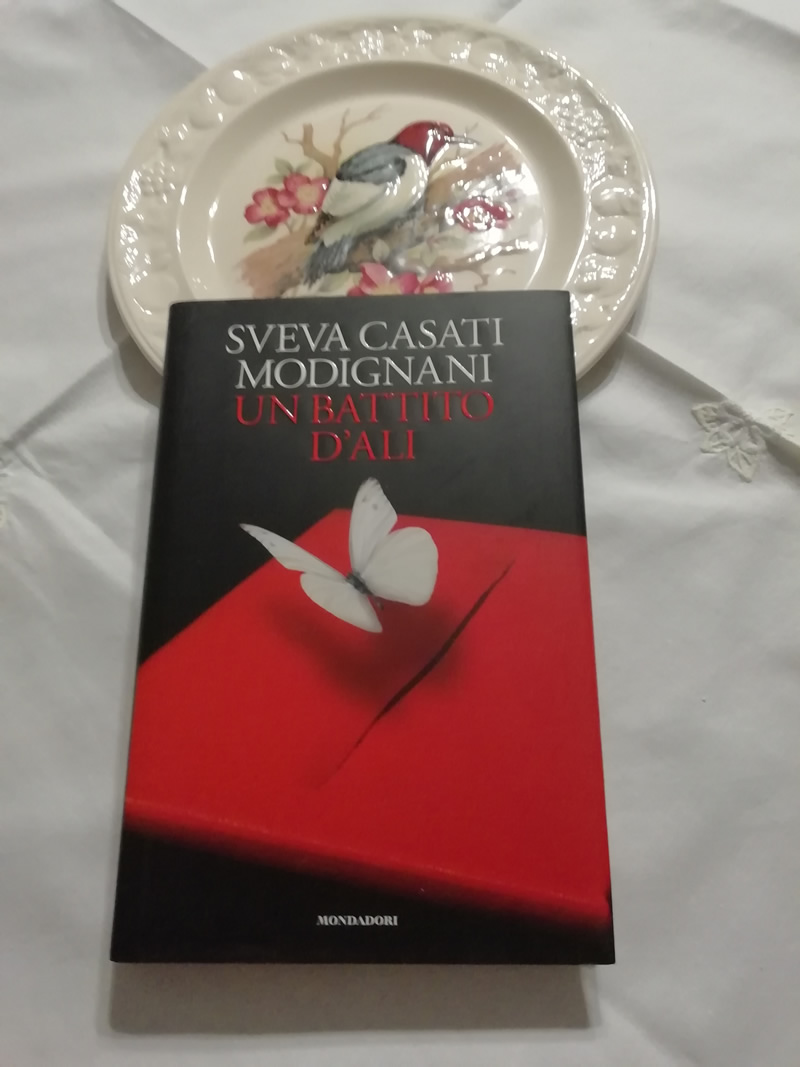 Un battito d'ali di Sveva Casati Modignani