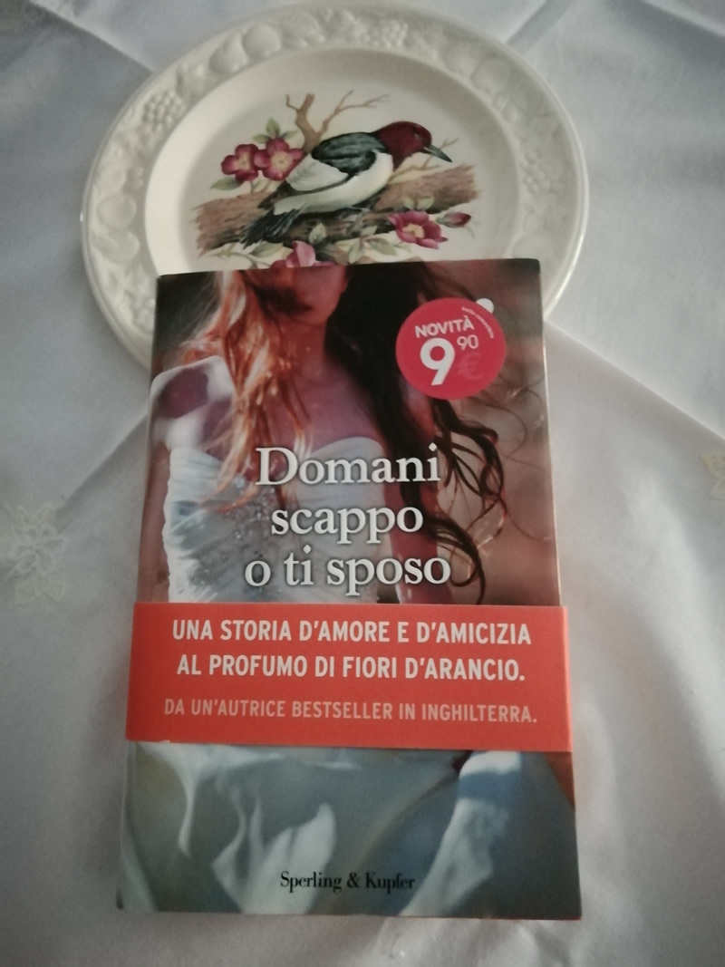 Domani scappo o ti sposo di Holly McQueen