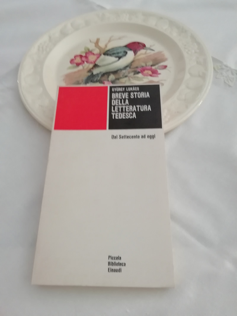 Breve storia della letteratura tedesca dal Settecento ad oggi, di Lukacs Gyorgy