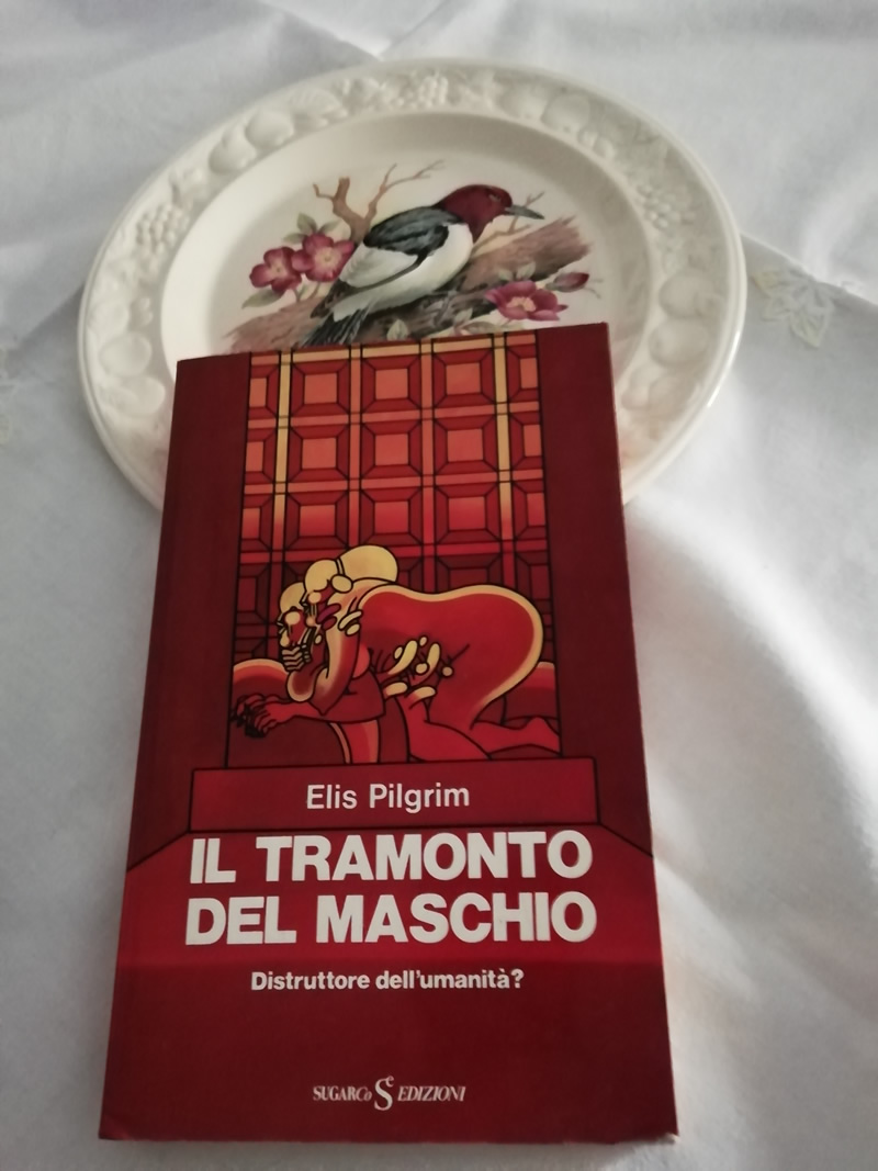 Il tramonto del maschio distruttore dell’umanità? di Elis Pilgrim