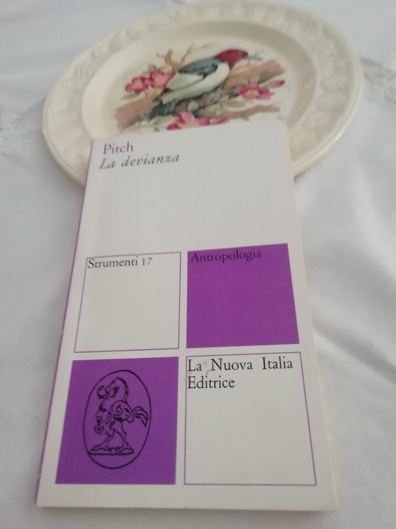 La devianza di Tamara Pitch