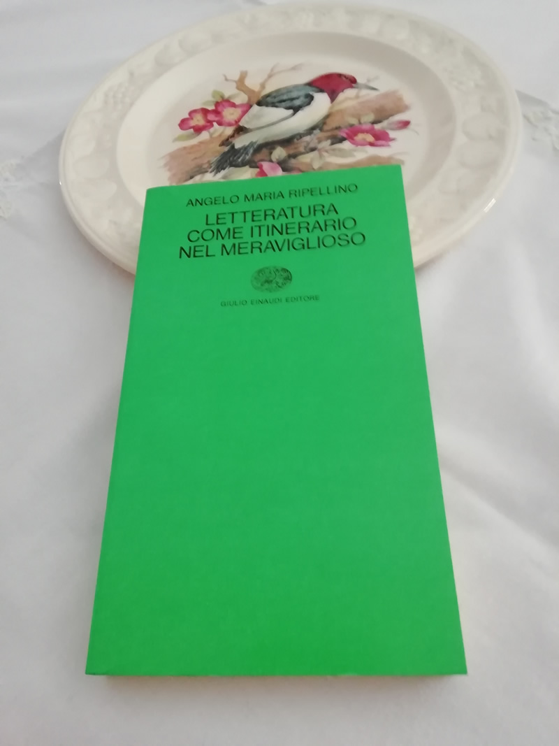 Letteratura come itinerario del meraviglioso di Angelo Maria Ripellino