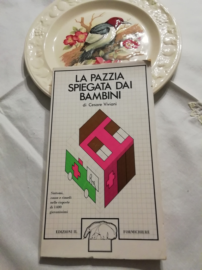 La pazzia spiegata dai ragazzi di Cesare Viviani